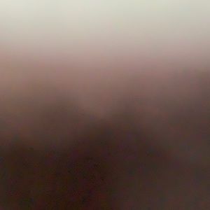 Meet your Posher, Steve